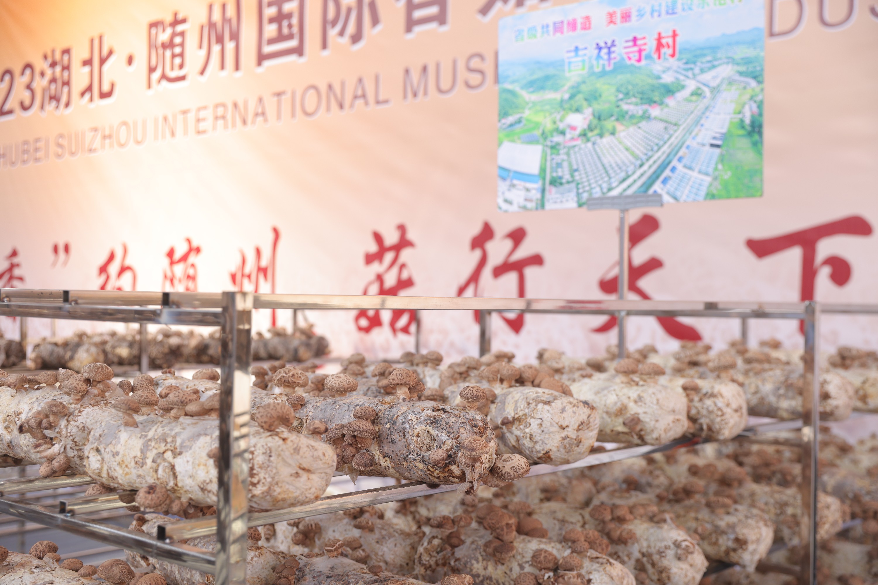 2023湖北·随州国际香菇产业博览会：香约随州，菇行天下